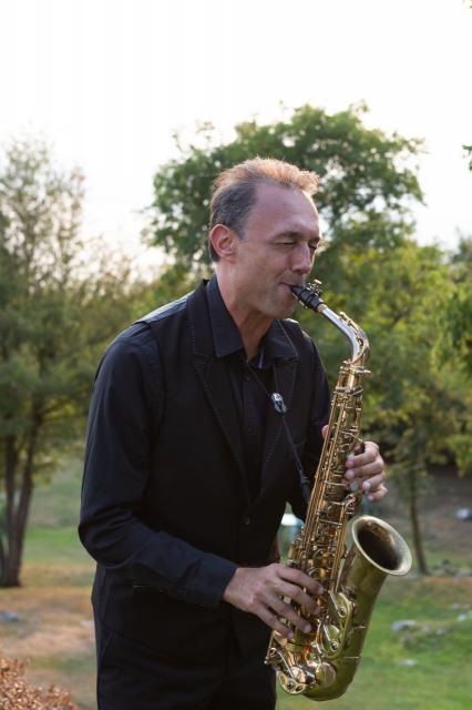 Anches de saxophone Rico - Anches de saxophone alto - Anches de saxophone  alto 2 force, 3-Pack : : Instruments de musique et Sono